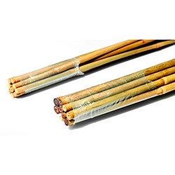 GBS-10-150 GREEN APPLE Поддержка бамбуковая 150см o 10мм набор 5шт (20/480) - фото 27064