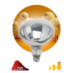 ЭРА ИКЗ 220-250 R127 Инфракрасная лампа  для обогрева животных 220-250 Вт Е27 - фото 31822