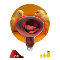 ЭРА ИКЗК 220-250 R127 Инфракрасная лампа  для обогрева животных 250 Вт Е27 - фото 31823