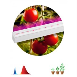 Светильник для растений, фитолампа светодиодная линейная ЭРА FITO-14W-Т5-N красно-синего спектра 14В