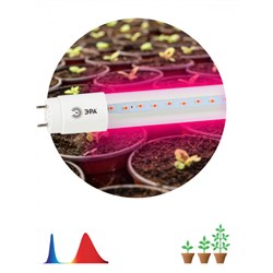 Фитолампа для растений светодиодная ЭРА FITO-9W-RB-Т8-G13-NL и мясных прилавков 9 Вт Т8 G13 красно-с - фото 33345