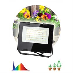 Фитопрожектор для растений светодиодный ЭРА FITO-50W-Ra90-LED полного спектра - фото 34362