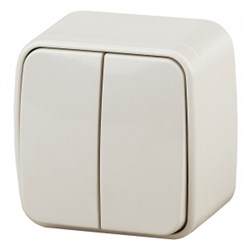 3-104-02 Intro Выключатель двойной, 10А-250В, IP20, ОУ, Polo, сл.кость  Б0036121