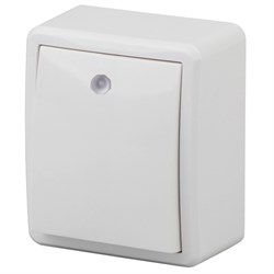 11-1202-01 ЭРА Выключатель с подсветкой,10АХ-250В, ОУ Эра Эксперт, белый Б0020657