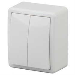 11-1204-02 ЭРА Выключатель двойной,10АХ-250В, ОУ Эра Эксперт, сл.кость Б0020664