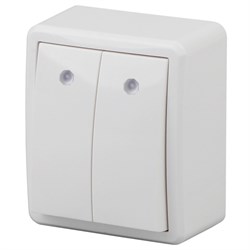 11-1205-01 ЭРА Выключатель двойной с подстветкой,10АХ-250В, ОУ Эра Эксперт, белый Б0020666