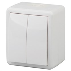 11-1404-03 ЭРА Выключатель двойной,IP54,10АХ-250В, ОУ Эра Эксперт, серый Б0020676