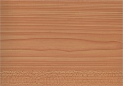 W0124 D&B 45 см/8м дерево светлое 00010000453