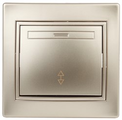 1-103-04 Intro Переключатель, 10А-250В, IP20, СУ, Plano, шампань Под заказ Б0030039