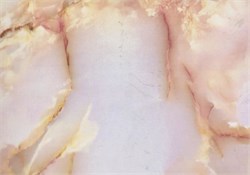 M0001 D&B 67.5 см/8 м мрамро роз.-бежевый 00010008233