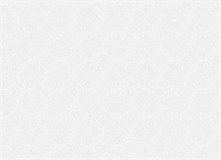 pv019 DEKORON 67,5 см/8 м витраж полупрозрачная белая																													 00106694