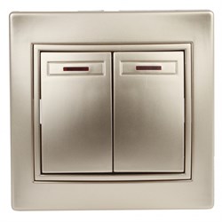 1-105-04 Intro Выключатель двойной с подсветкой, 10АХ-250В, СУ, Plano, шампань Б0053778