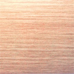 АПС 001 1350 302/24 пирамид.тополь БП-00000085