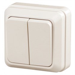 2-104-02 Intro Выключатель двойной, 10А-250В, IP20, ОУ, Quadro, сл.кость (10/200/3600) Б0027641