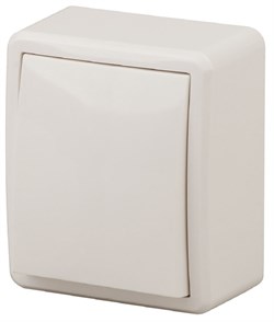 11-1201-02 ЭРА Выключатель,10АХ-250В, IP20, ОУ, Эра Эксперт, сл.кость (16/160/3200) Б0020655