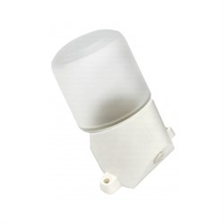 Светильник ЭРА НББ 01-60-002 для бани пластик/стеклонаклонныйIP65E27max60Вт158х116х85белый Под заказ Б0048407