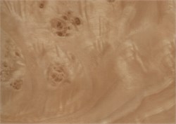 W0240 D&B 45 см/8 м карельская береза светлая 00000004870