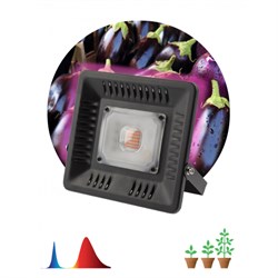 Фитопрожектор для растений светодиодный ЭРА  FITO-50W-LED-L Под заказ Б0044651