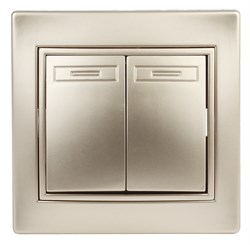 1-104-04 Intro Выключатель двойной, 10А-250В, IP20, СУ, Plano, шампань Б0053764