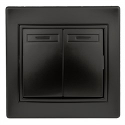 1-104-05 Intro Выключатель двойной, 10А-250В, IP20, СУ, Plano, антрацит Б0053765