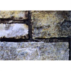 2611 D&B 67.5 см/8 м 2611