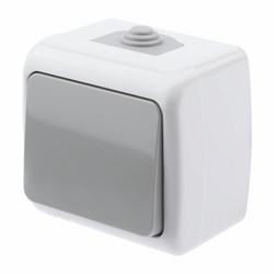 5-101-03 Intro Atlantic Выключатель 10А-250В, IP54, открытой установки, серый Б0050940