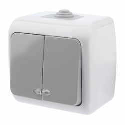 5-105-03 Intro Atlantic Выключатель двойной с подсветкой, 10А-250В, IP54, ОУ, серый Б0050944