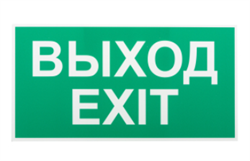 Самоклеящаяся этикетка ЭРА INFO-SSA-116 бэклит 259x128мм Выход-EXIT SSA-103 Б0057712