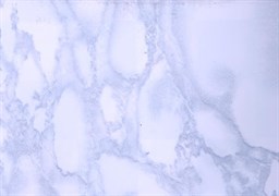 3813 D&B 45 см/8 м мрамор светло-голубой