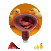 ЭРА ИКЗК 220-250 R127 Инфракрасная лампа  для обогрева животных 250 Вт Е27