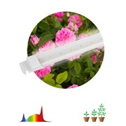 Светильник для растений, фитолампа светодиодная линейная ЭРА FITO-10W-Т5-Ra90-Slim полного спектра 1