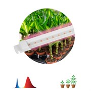 Светильник для растений, фитолампа светодиодная линейная ЭРА FITO-10W-Т5-RB-Slim красно-синего спект