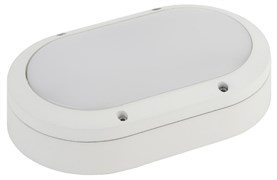 SPB-7-12-O ЭРА светодиод. св-к антивандал  IP65 12Вт 1140лм 5000К 220х135х65 овал Б0030242