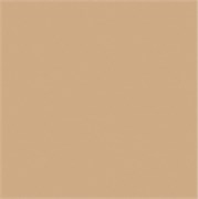 Керамический гранит 300*300*8мм RW15 непол. желтая (1уп-1,53м2/17шт) ESTIMA RW15