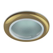 Светильник WR1 GD ЭРА влагозащищенный MR16,12V220V, 50W золото C0043846