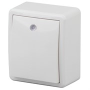 11-1202-02 ЭРА Выключатель с подсветкой,10АХ-250В, ОУ Эра Эксперт, сл.кость Б0020658