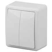 11-1204-02 ЭРА Выключатель двойной,10АХ-250В, ОУ Эра Эксперт, сл.кость Б0020664