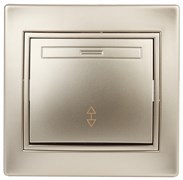 1-103-04 Intro Переключатель, 10А-250В, IP20, СУ, Plano, шампань Под заказ Б0030039