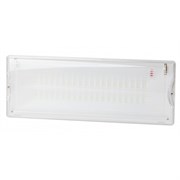 DPA-301-0-65 ЭРА Светильник светодиодный аварийный непостоянный 40LED 3ч IP65	Под заказ													 Б0044405