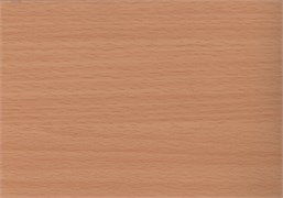 W0189 D&B 67.5 см/8 м дерево светлое бук 00010001899