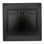 1-106-05 Intro Выключатель тройной, 10А-250В, IP20, СУ, Plano, антрацит  Б0053795
