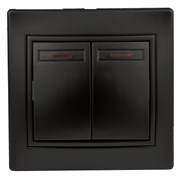 1-105-05 Intro Выключатель двойной с подсветкой, 10АХ-250В, СУ, Plano, антрацит Б0053780