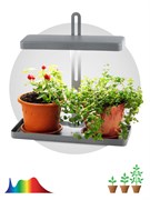 Настольный светильник для растений ЭРА FITO-20W-QLED-G полного спектра 20 Вт серый Под заказ Б0039035