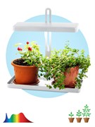 Настольный светильник для растений ЭРА FITO-20W-QLED-W полного спектра 20 Вт белый Под заказ Б0039034