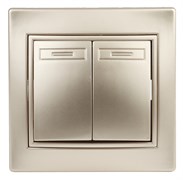 1-104-04 Intro Выключатель двойной, 10А-250В, IP20, СУ, Plano, шампань Б0053764