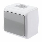 5-101-03 Intro Atlantic Выключатель 10А-250В, IP54, открытой установки, серый Б0050940