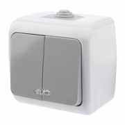 5-105-03 Intro Atlantic Выключатель двойной с подсветкой, 10А-250В, IP54, ОУ, серый Б0050944