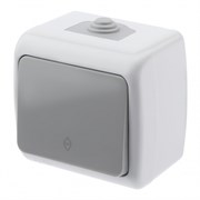 5-103-03 Intro Atlantic Выключатель, 10А-250В, IP54, ОУ, серый Б0050942