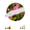 Светильник для растений, фитолампа светодиодная линейная ЭРА FITO-10W-Т5-Ra90-Slim полного спектра 1 - фото 39625