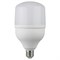 Лампа светодиодная  ЭРА LED POWER- 20w-6500-E27 (40шт/уп) Б0027011 - фото 71647